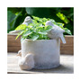 Garden Bird Planter Large