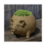 Roly Poly Pig Planter