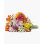 Assorted Alstroemeria Fresh Flower Bouquet
