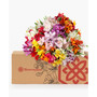 Assorted Alstroemeria Fresh Flower Bouquet