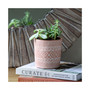 Vector Pattern Terra Cotta Pot
