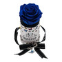 Pop-Up Butterfly Box with Single Blueberry Real Rose
