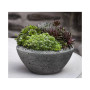 Rustic Lo Bowl Planter