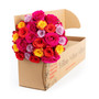 Kaleidoscope Roses Fresh Flower Bouquet