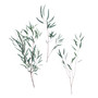 Fresh Willow Eucalyptus Bundle