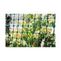 Plastic Garden Fence, 2 x 25-Feet, Green