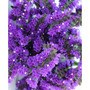 Fresh Purple Statice Bundle
