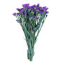Fresh Purple Statice Bundle