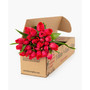 Radiant Red Tulips Fresh Flower Bouquet