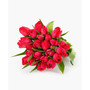 Radiant Red Tulips Fresh Flower Bouquet