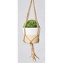 Mini Macrame Hangers - Tan, 18in