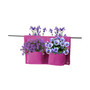Rail Planter 4 Pocket - Purple