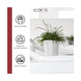 Amsterdam Round Plastic Flower Pot, Pure White, 4"