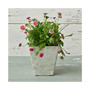 35080 Ella Square Planter Artstone Collection Mint - 10 inch