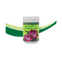 Bud and Bloom Water Soluble Plant Food 1.5lb