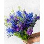 Blue Botanica