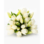 Pure White Tulips Fresh Flower Bouquet