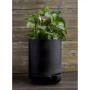 I and O Skinny Crete Container Planter, 1 Quart