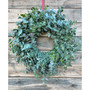 Fresh Real True Blue Eucalyptus Spring Wreath