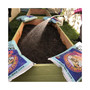 Baby Bu's Biodynamic Blend Potting Soil - 12 qt