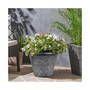 Outdoor Diamond Banded Plastic Planter Silver 14.75 Inches