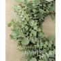 Fresh Baby Blue and Silver Dollar Eucalyptus Wreath, 20"