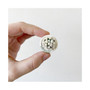 Candace Mini Cactus Kit