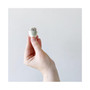 Candace Mini Cactus Kit