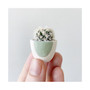Candace Mini Cactus Kit