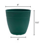 Ocean Series Dayton Ocean Plastic Planter, Turtle Green, 8 inches
