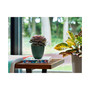 Ocean Series Dayton Ocean Plastic Planter, Turtle Green, 8 inches