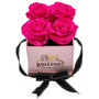 Pop-Up Fourget Me Not Raspberry Punch Real Roses, Box of 4
