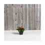 Black ArtStone Ella Square Planter 12 Inch