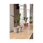 Brunello RolledRim Planter Classic 11.4 Inch Rust