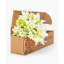 Casablanca White Lilies Fresh Flower Bouquet