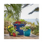 AP10908 Ariana Planter with Self-Watering Disk, Charcoal - 10 inches