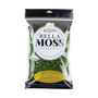 Bella Moss Preserved Forest Bulk Moss, Green