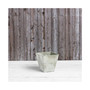ArtStone 35126 Ella Square Planter  Art Stone Mint 12 Inch