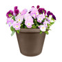 Classic Pot - Chocolate - 7in