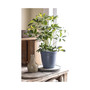 Eclipse Round Plastic Planter Black