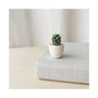 Lino Mini Cactus Kit