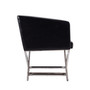 Hollywood Lounge Accent Chair, Set of 2