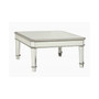 Renee Contemporary Style Coffee Table