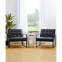 Modern Leatherette Accent Armchair with Frame, Set of 2, 29.25"