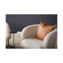 Accent Chair with Linen Upholstery