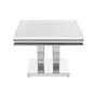 Adabella 18" Stainless Steel U-Base Rectangle Coffee Table