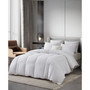 European White Down & Feather All Season Comforter, Twin