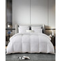 European White Down & Feather All Season Comforter, Twin