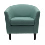 Windsor Club Chair