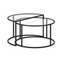 Luna Nested Coffee Table, Set of 2
